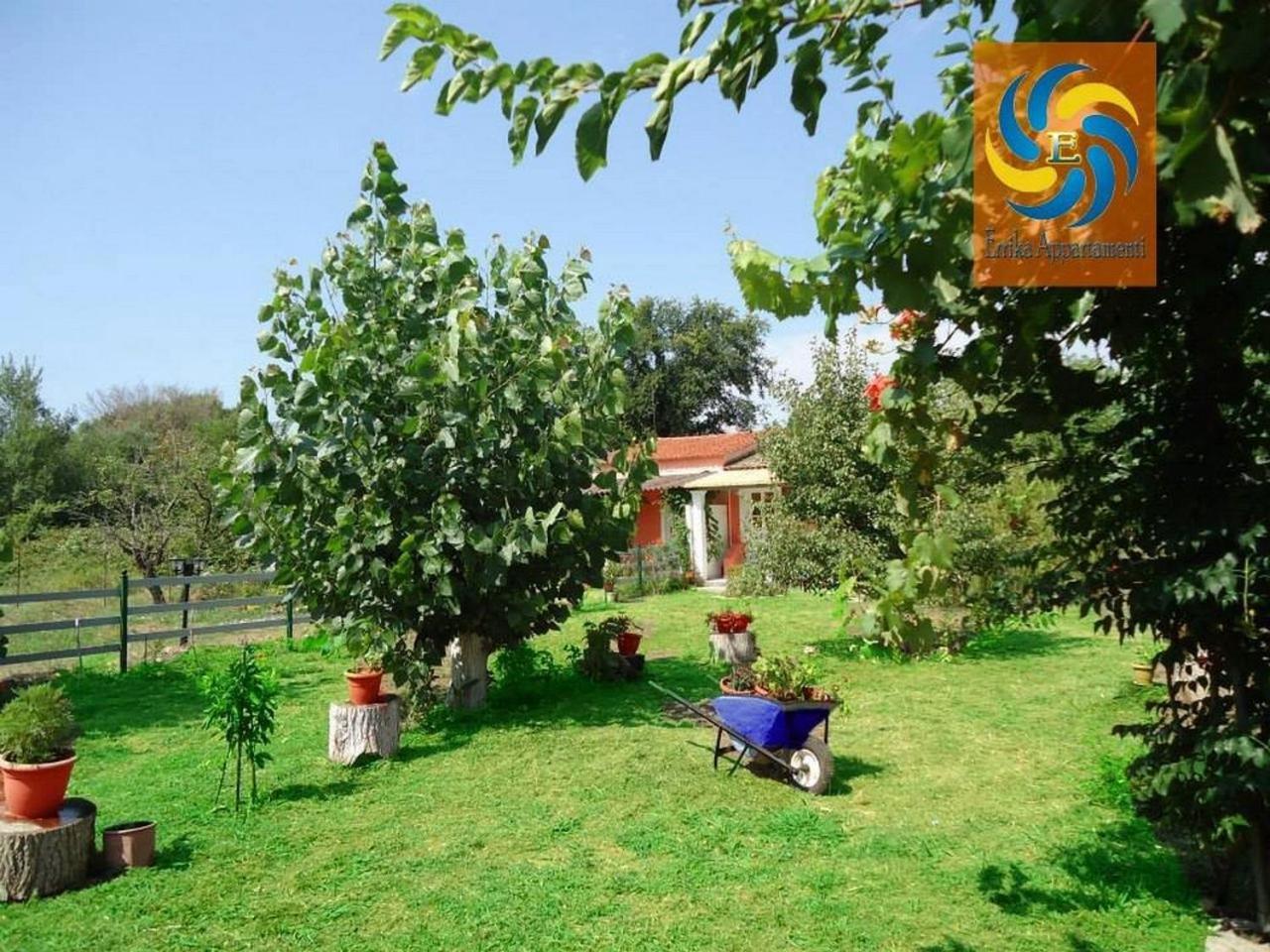 Errika Apartman Ípszosz Kültér fotó